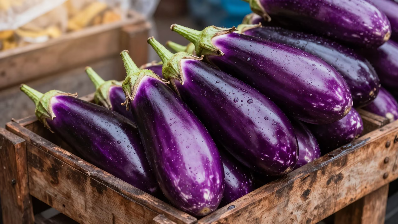 Eggplants in Mumbai at First Light in in Mumbai, India