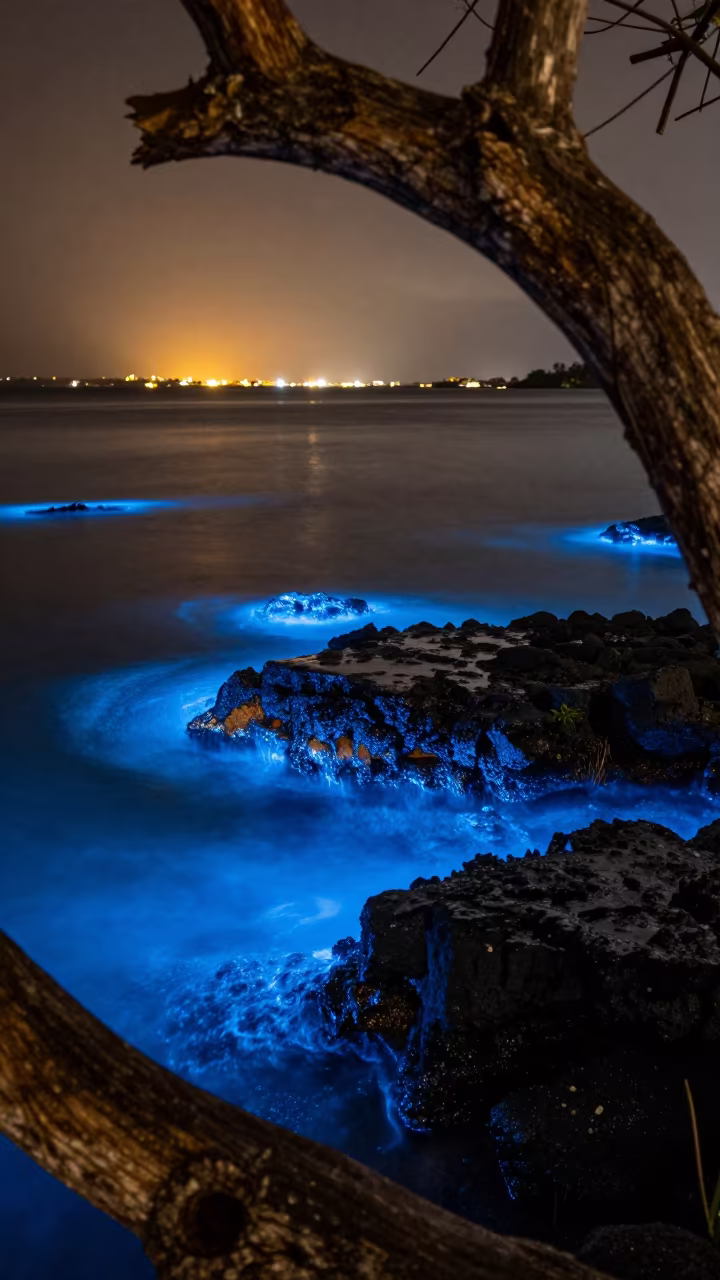 Electric Blue Tide Tracing Rocks at San Cristóbal Night in near San Cristóbal