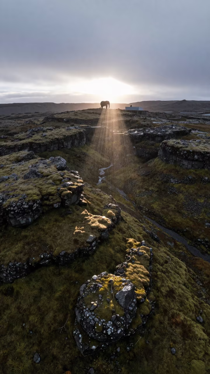 Elephant on Rooftop Over Iceland Boreal Forest in far above terraced hillsides in Iceland