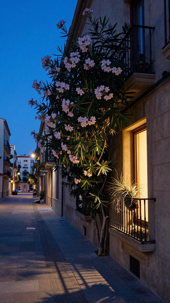 Evening Blue Hour in Barcelona Spain Oleander Hedge and Air Plant Tillandsia Detail in in Barcelona, Spain