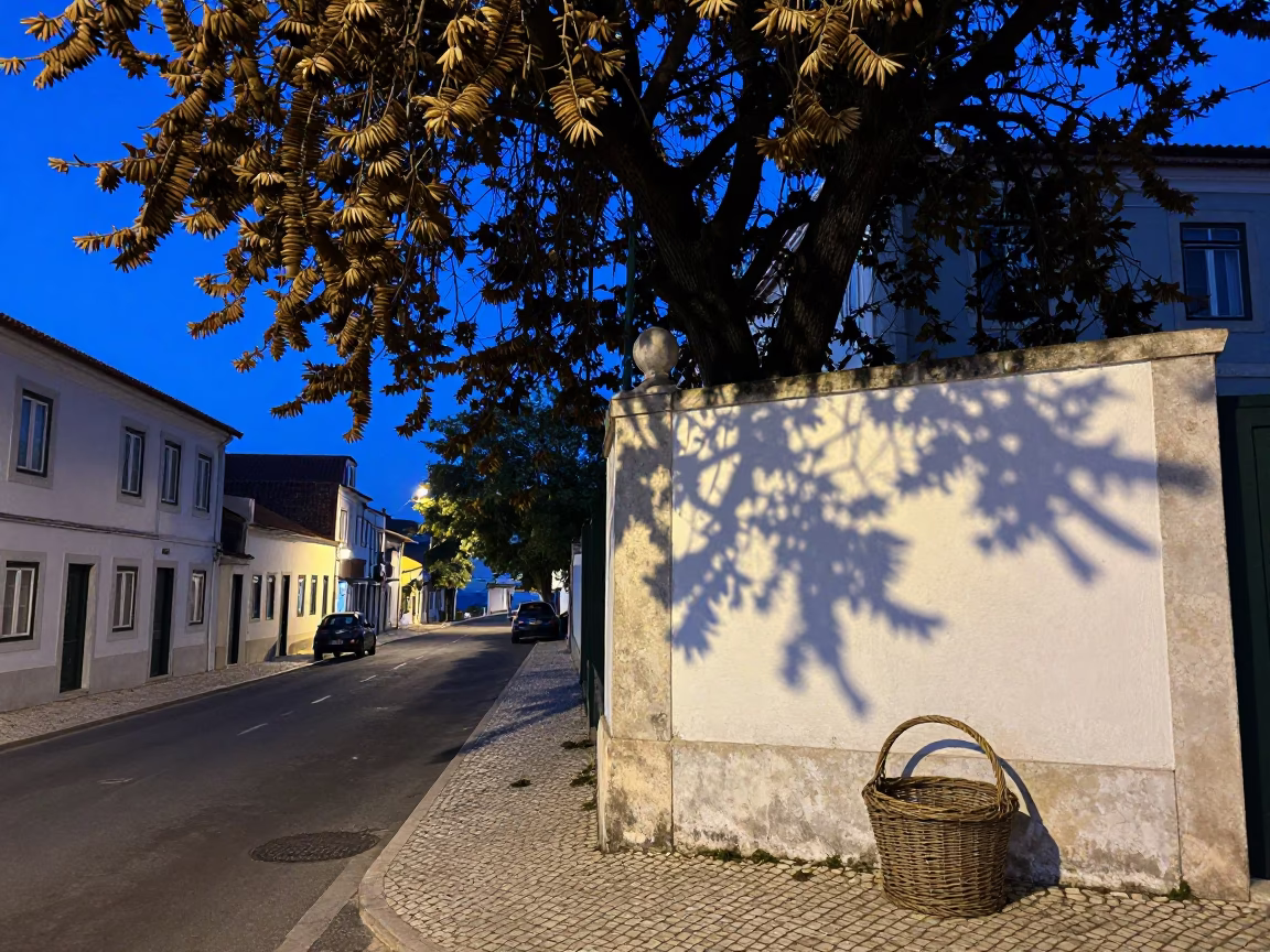Evening Blue Hour Street Scene in Lisbon Portugal with Tamarind Tree and Wicker Details in in Lisbon, Portugal