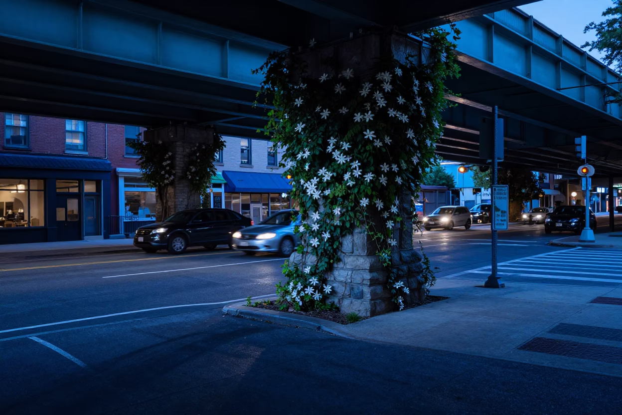 Evening Blue Hour Street Scene in Philadelphia Pennsylvania with Overpass Shadows in in Philadelphia, Pennsylvania, United States