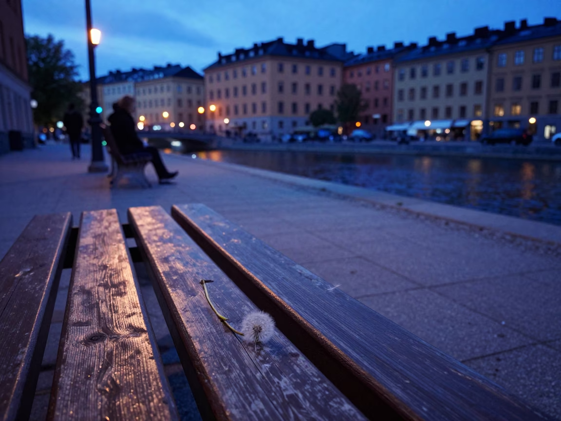 Evening Blue Hour Street Scene in Stockholm Sweden with Dandelion Seed Head in in Stockholm, Sweden