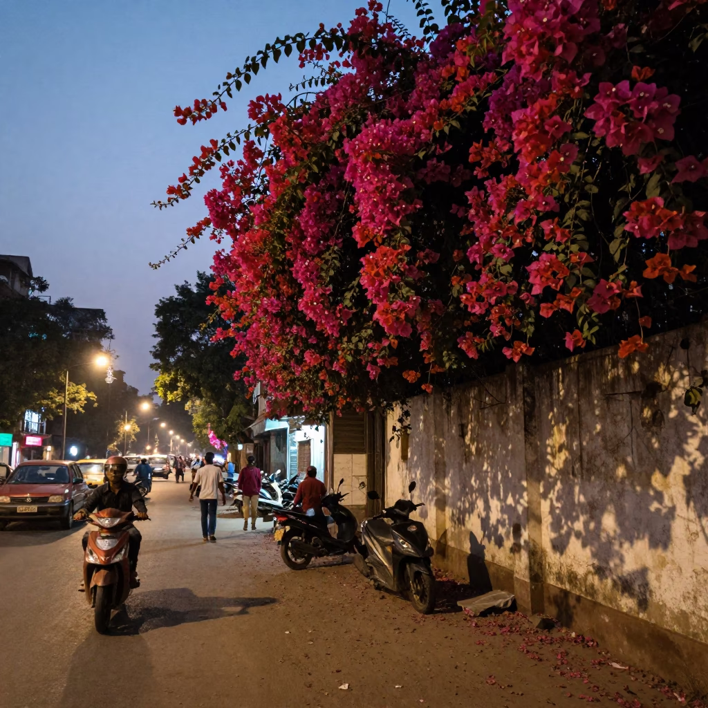Evening Delhi Street Scene with Bougainvillea and Local Life in in Delhi, India