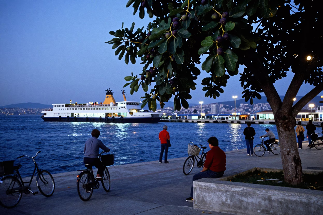 Evening Ferry Dock in Izmir Turkey with Passengers Bicycles and Fig Tree Fruit in in Izmir, Turkey