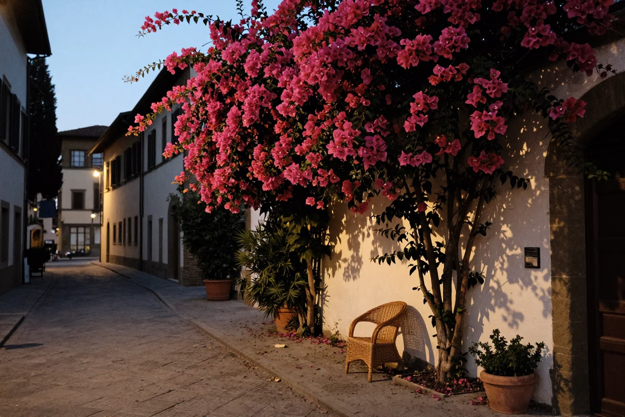 Evening Florence Street Scene with Bougainvillea and Wicker Chair in in Florence, Italy