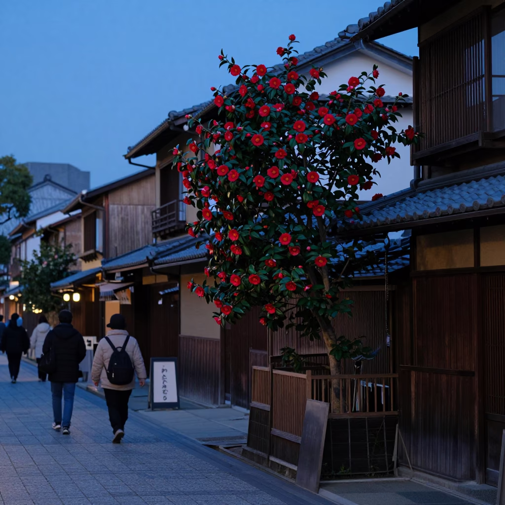 Evening Kyoto Street Scene with Camellia Bush and Traditional Gate Hardware in in Kyoto, Japan