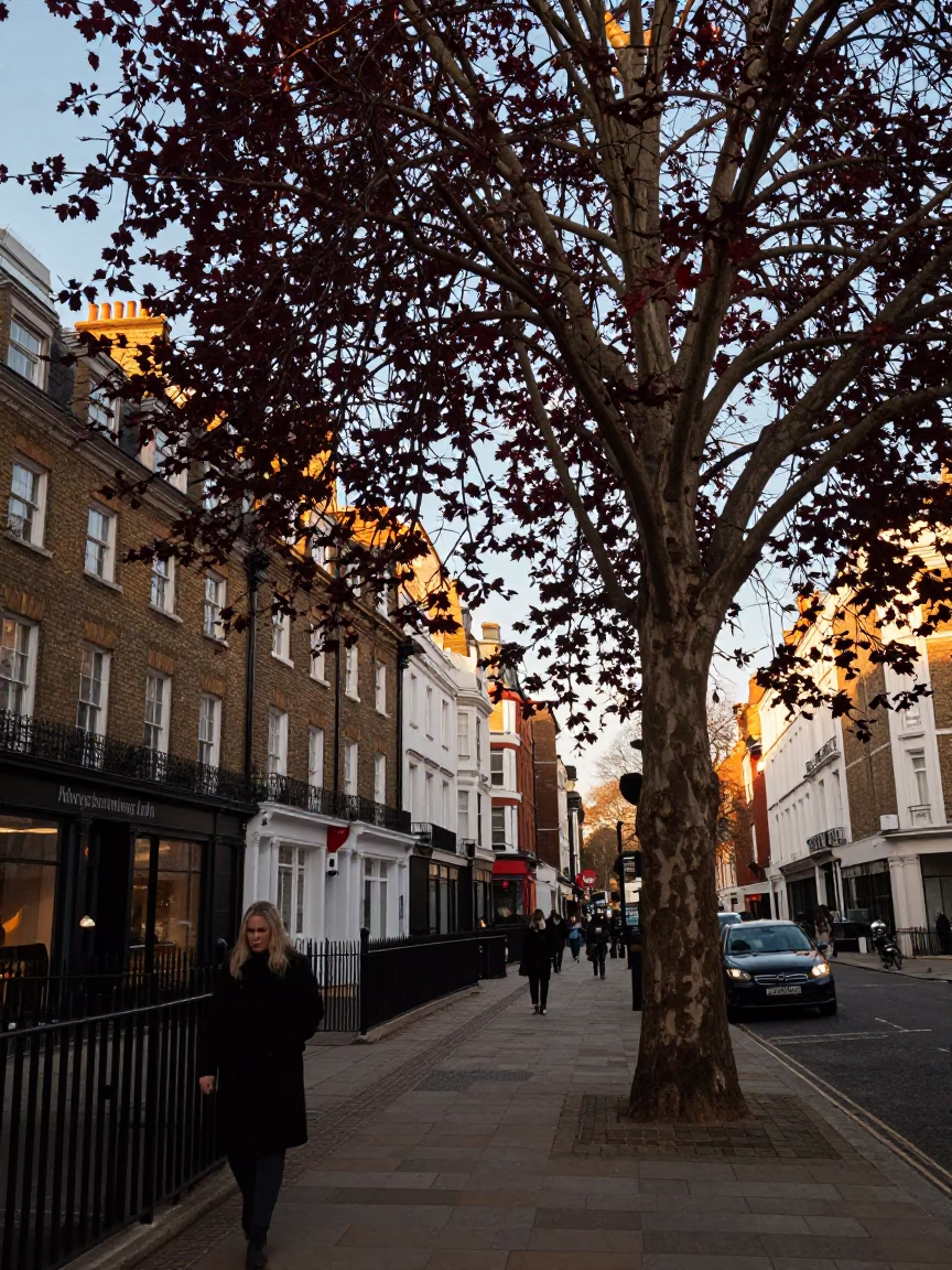 Evening Light in London at Honeyed Evening Light in in London, United Kingdom