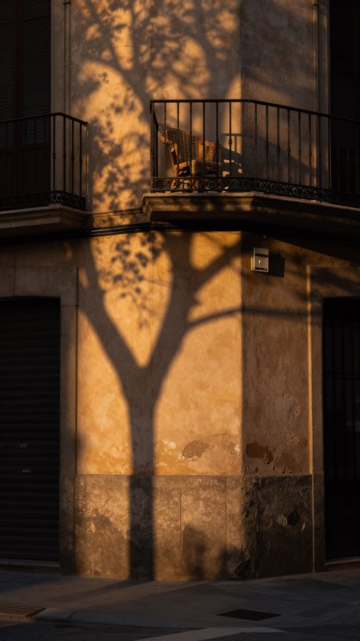 Evening light on Barcelona street corner with wicker shadow and flowerpot in in Barcelona, Spain