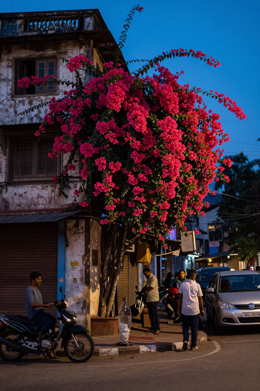 Evening Mumbai Street Scene with Bougainvillea and Glass Carafe in in Mumbai, India