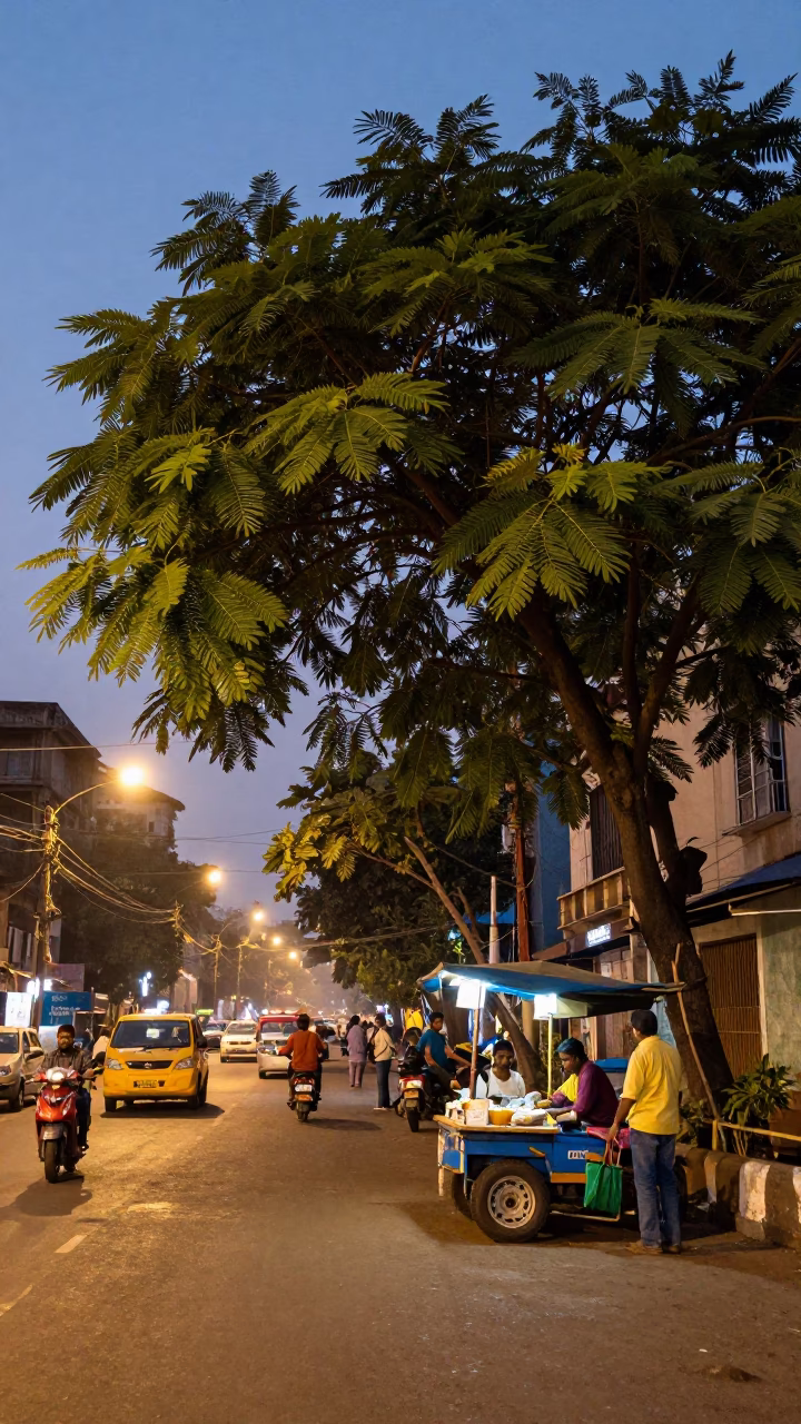Evening Mumbai Street Scene with Tamarind Tree and Vendor Work Gloves in in Mumbai, India