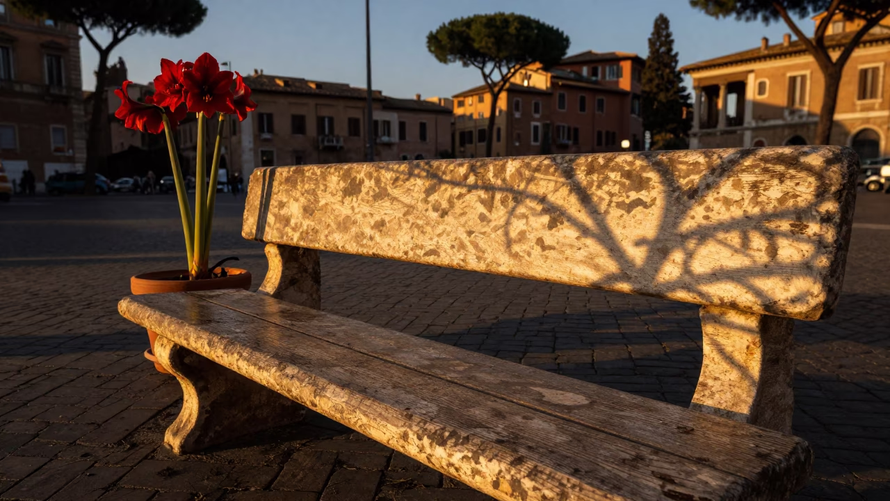 Evening Scene in Rome at Honeyed Evening Light in in Rome, Italy
