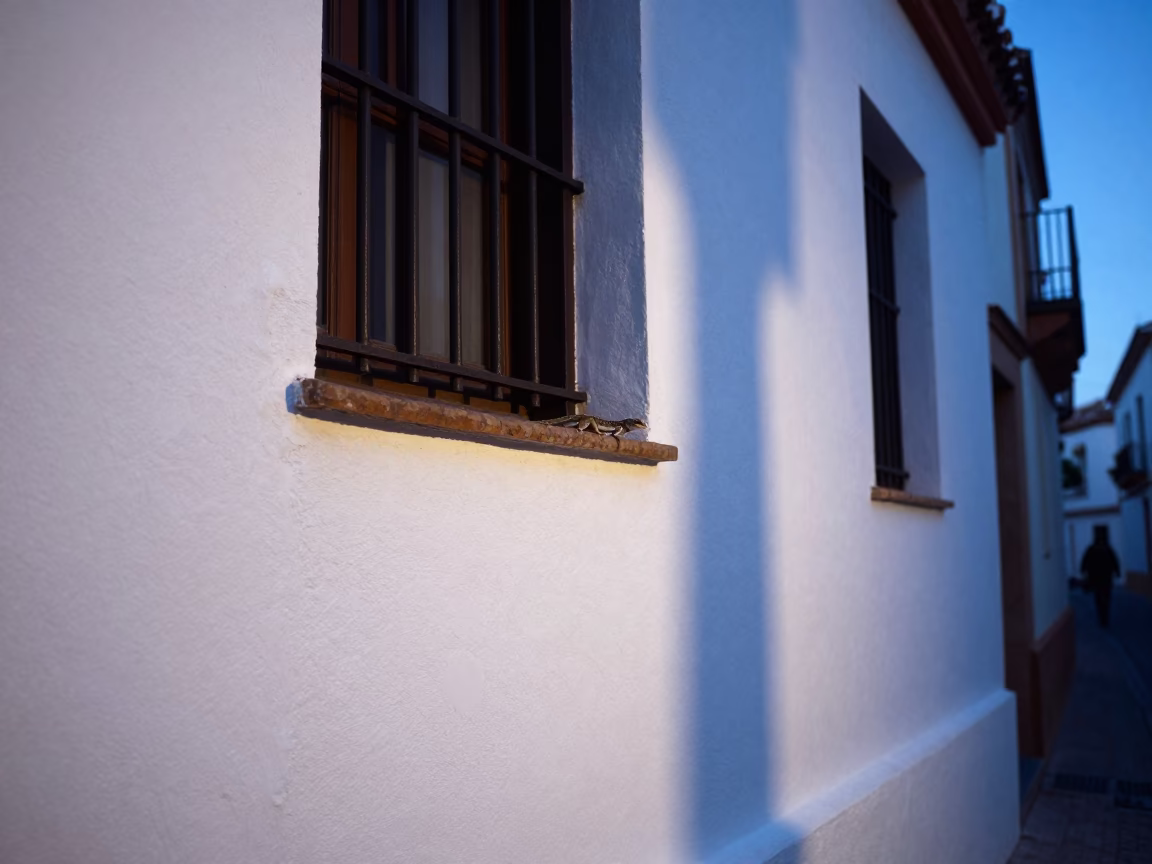 Evening Shadows in Granada Spain with Gecko on White Wall in in Granada, Spain