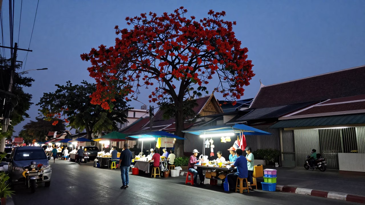 Evening Street Scene in Bangkok Thailand with Flame Tree Bloom and Local Market Activity in in Bangkok, Thailand