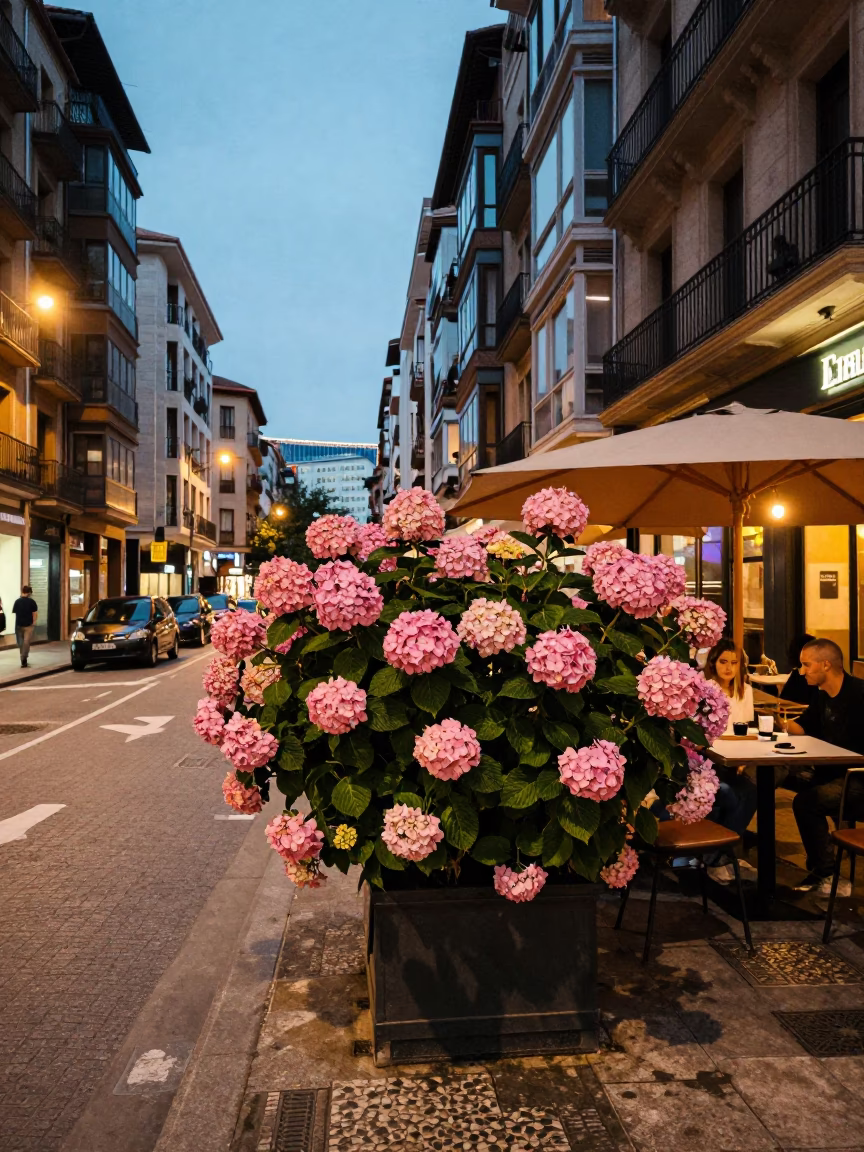 Evening Street Scene in Bilbao Spain with Hydrangea Bush and Espresso Cup at Dusk in in Bilbao, Spain