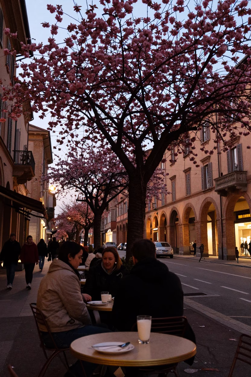 Evening street scene in Bologna Italy with cherry blossom and local dining in in Bologna, Italy