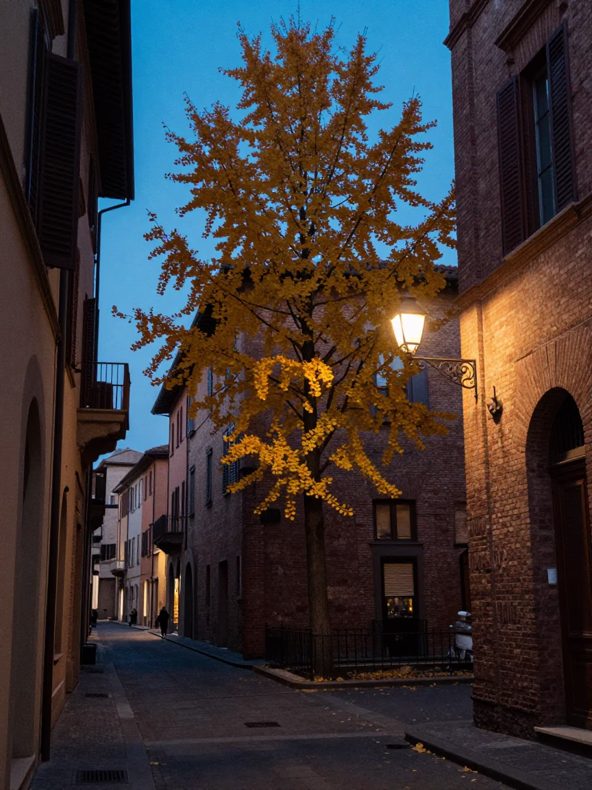 Evening street scene in Bologna Italy with ginkgo tree and lantern in in Bologna, Italy