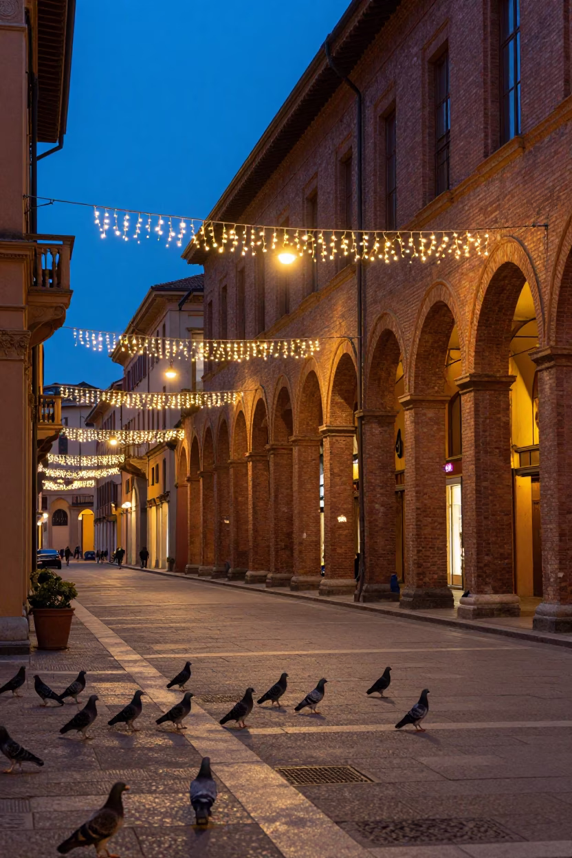 Evening Street Scene in Bologna Italy with String Lights and Pigeons in in Bologna, Italy