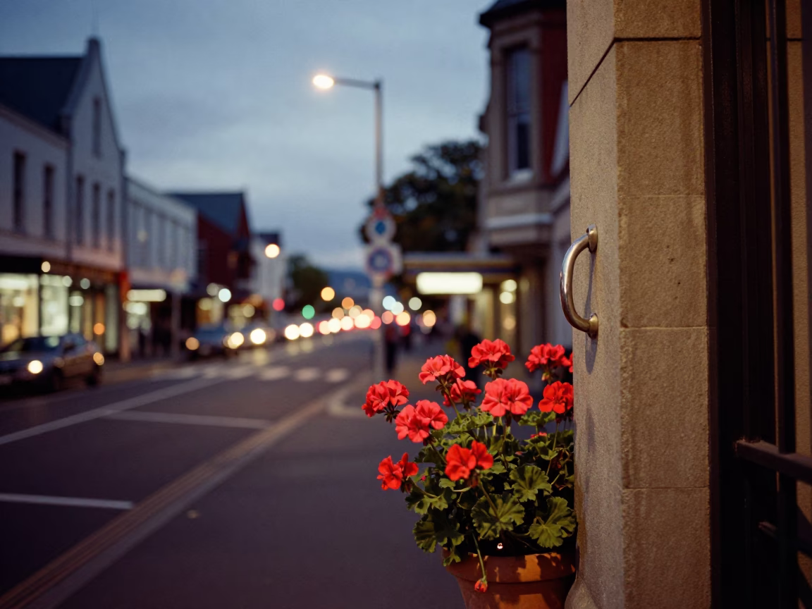 Evening Street Scene in Christchurch New Zealand with Geraniums and Gate Handle at Dusk in in Christchurch, New Zealand