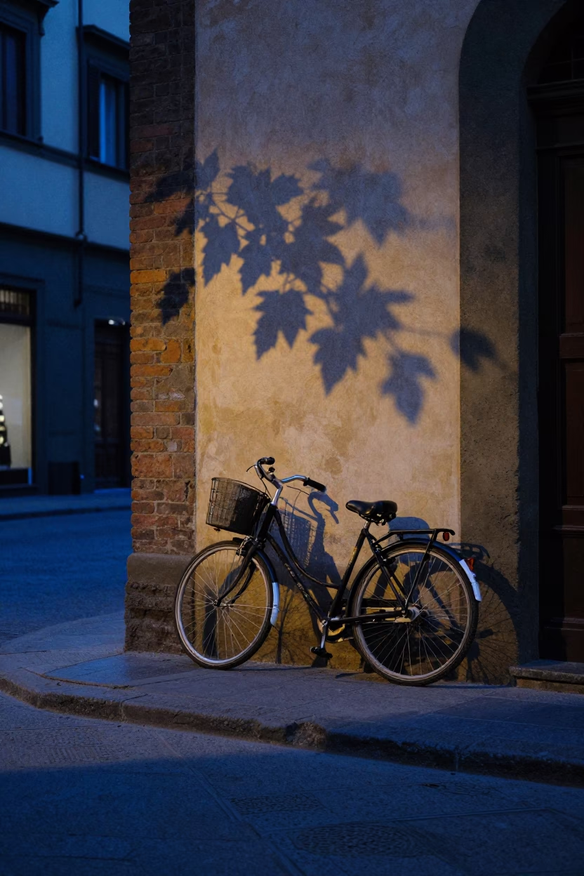 Evening Street Scene in Florence Italy with Bicycle and Leaf Shadows in in Florence, Italy