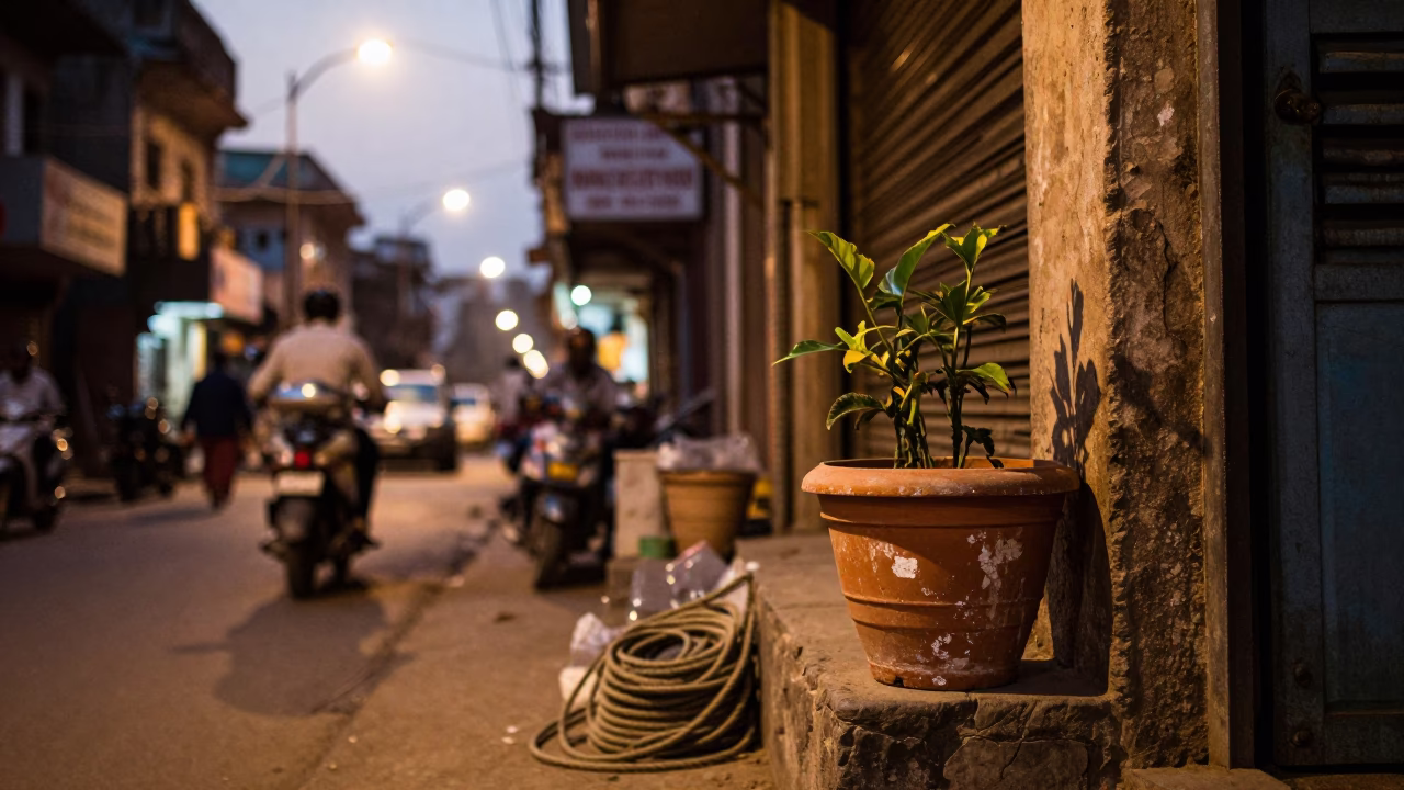Evening Street Scene in Hyderabad India with Flowerpot and Coiled Rope in in Hyderabad, India