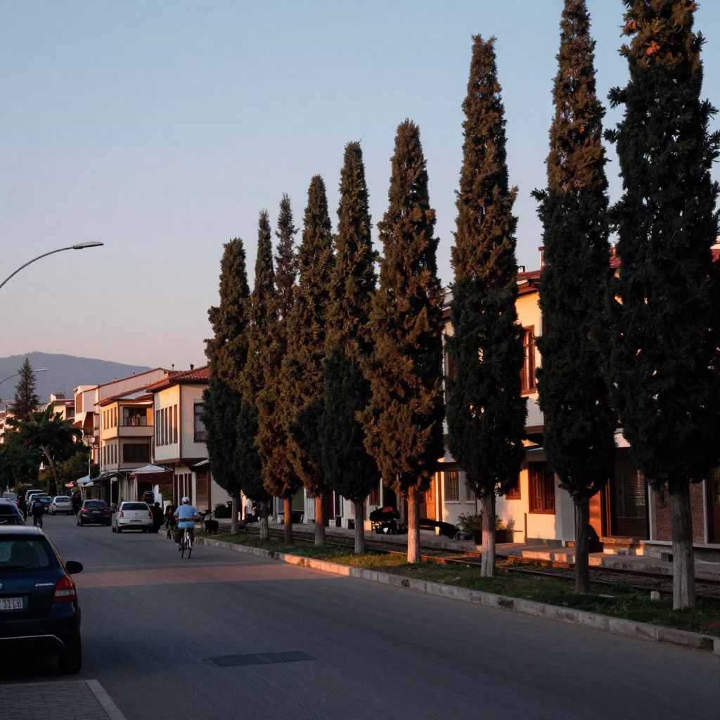 Evening Street Scene in Izmir Turkey with Cypress Trees and Railway Viaduct in in Izmir, Turkey