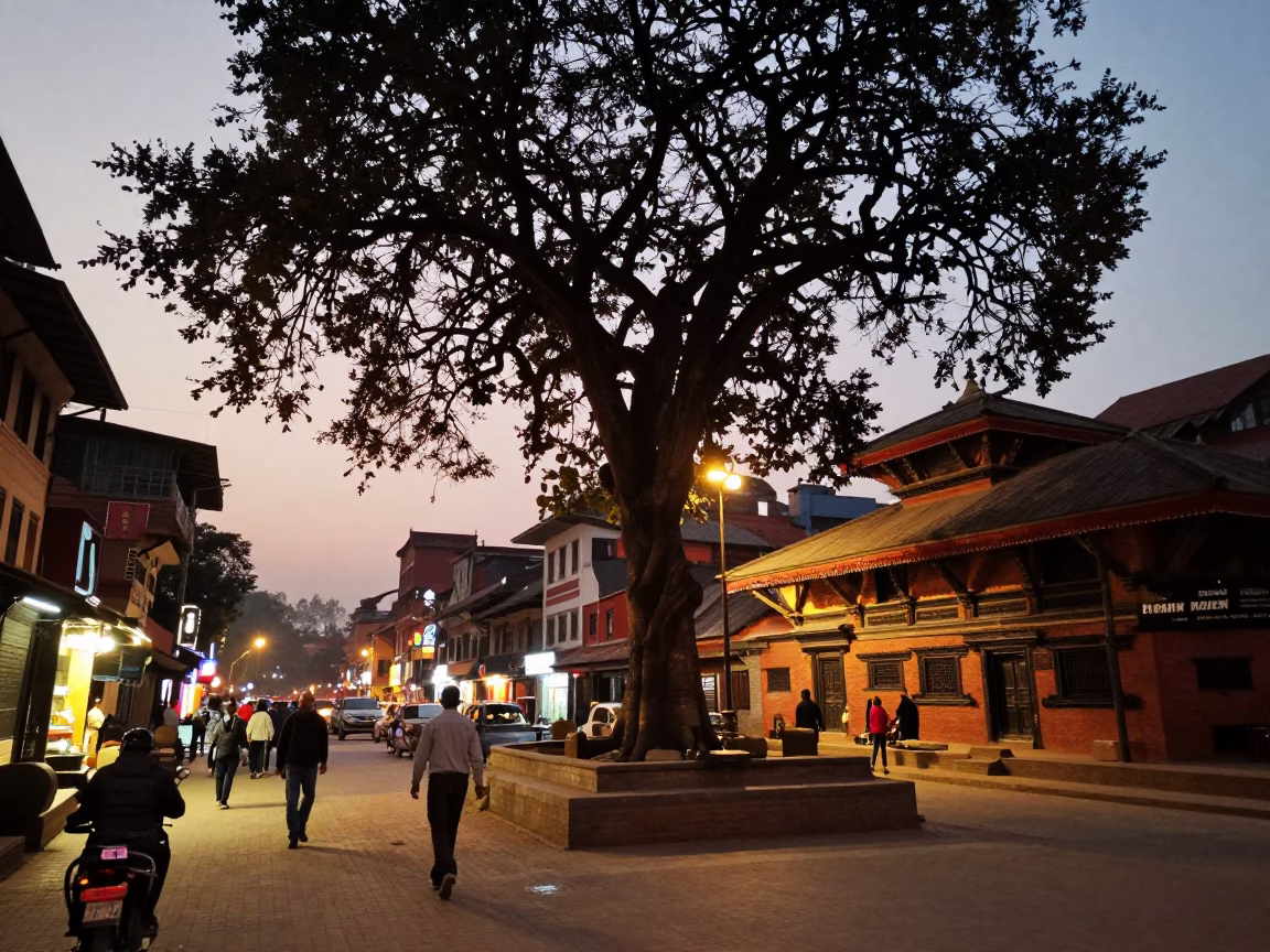 Evening Street Scene in Kathmandu Nepal with Fig Tree and Vintage Telephone in in Kathmandu, Nepal