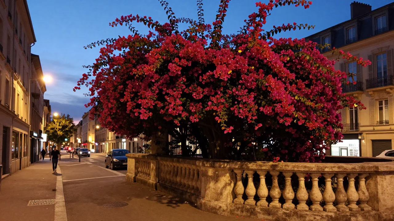 Evening Street Scene in Lyon France with Bougainvillea and City Lights in in Lyon, France