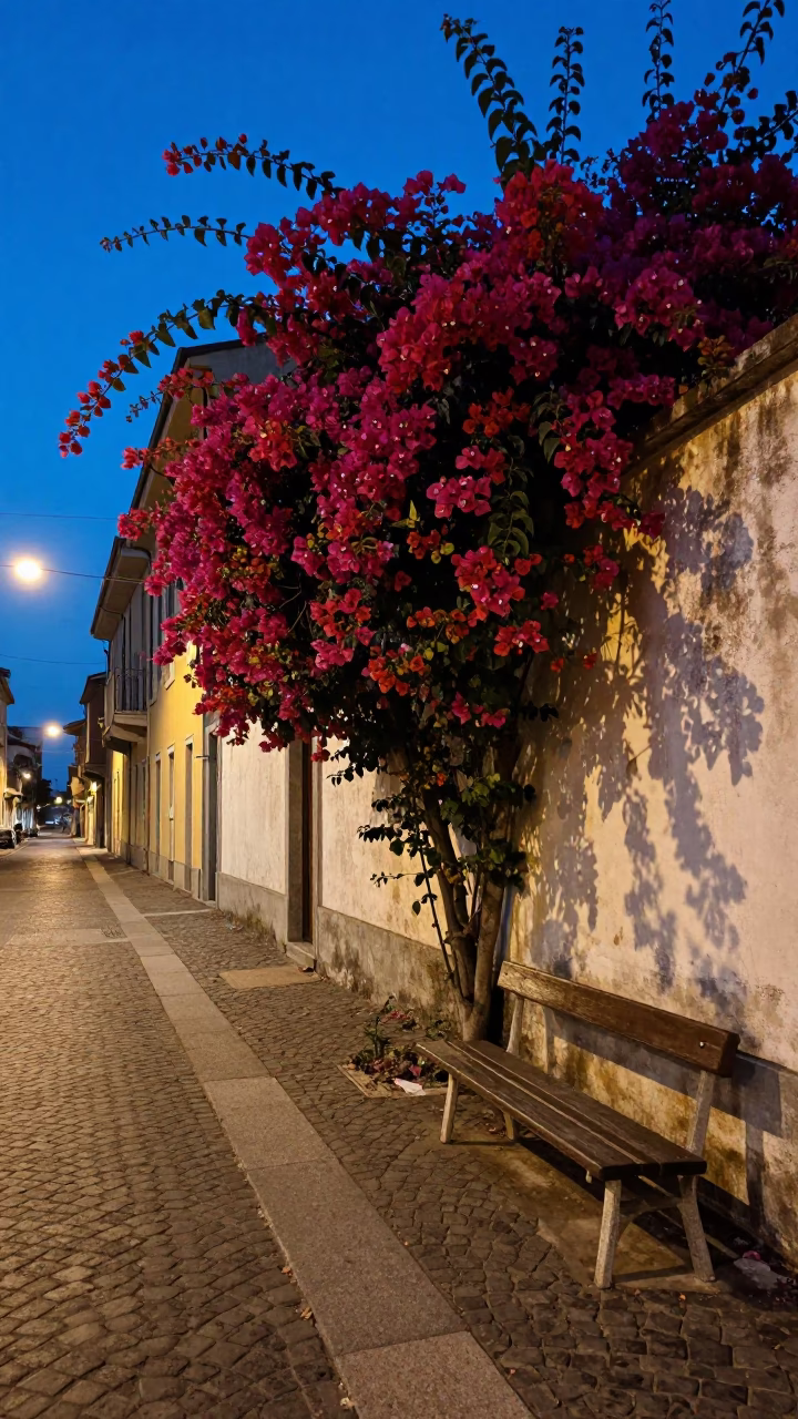 Evening Street Scene in Milan Italy with Bougainvillea and Park Bench in in Milan, Italy