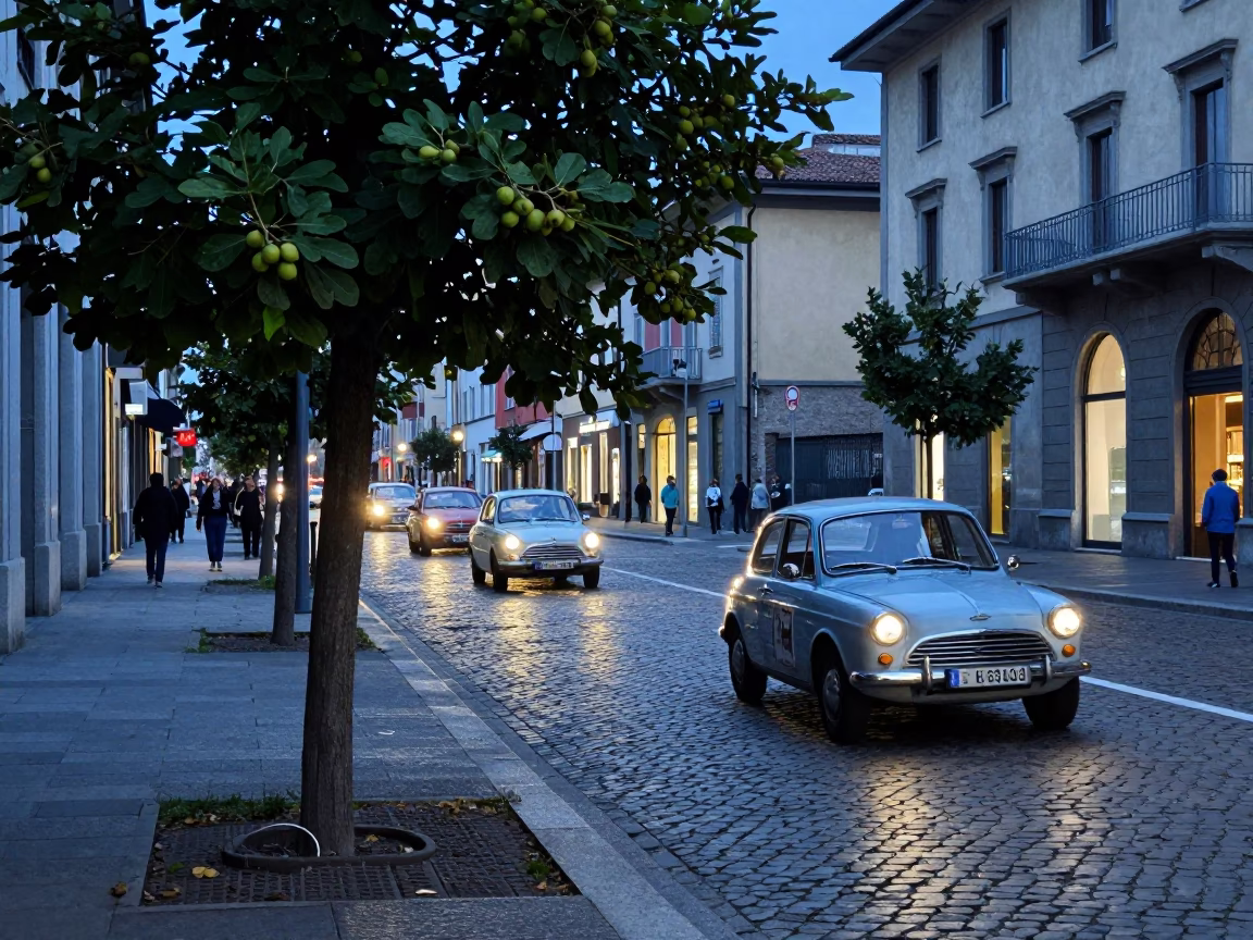Evening Street Scene in Milan Italy with Vintage Car Rally and Fig Tree in in Milan, Italy