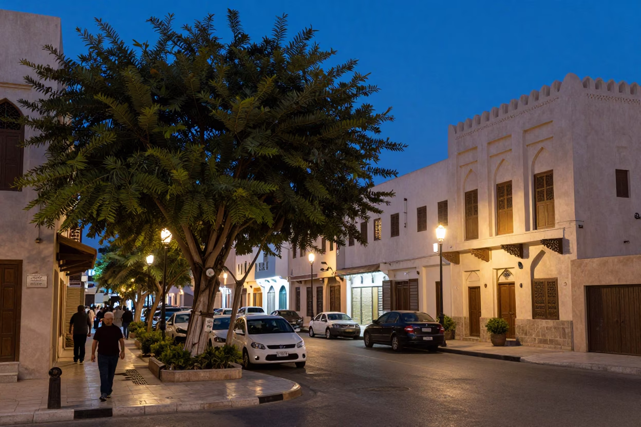 Evening Street Scene in Muscat Oman with Banyan Trees and Local Life in in Muscat, Oman