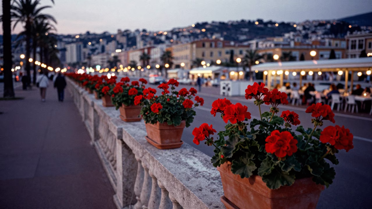 Evening Street Scene in Nice France with Geraniums and Outdoor Dining in in Nice, France
