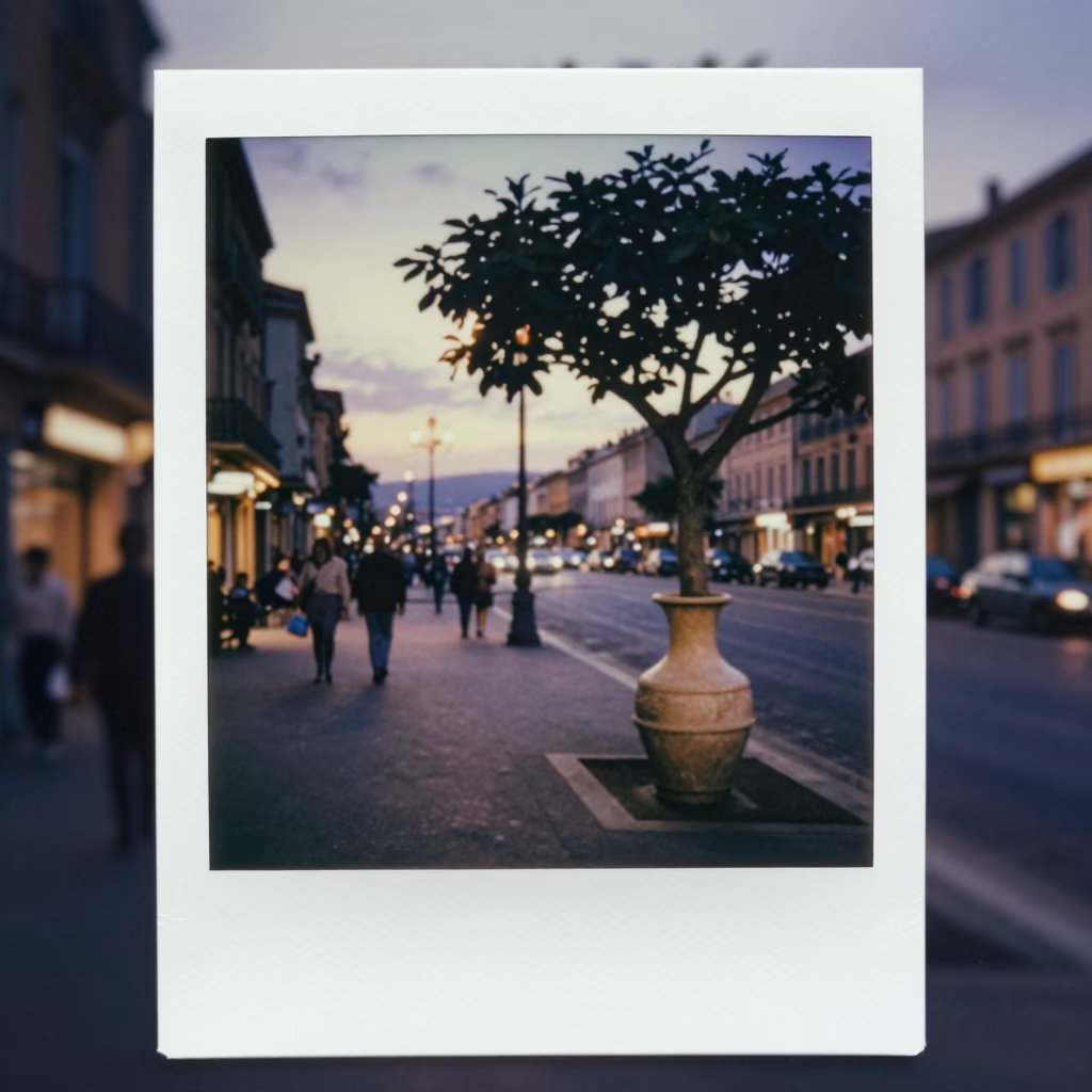 Evening Street Scene in Nice France with Vase and Fig Tree in in Nice, France