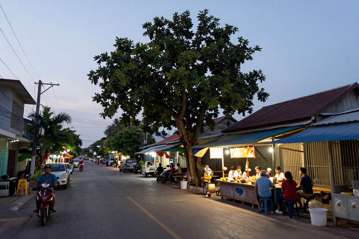 Evening Street Scene in Phuket Thailand with Fig Tree and Local Vendor in in Phuket, Thailand