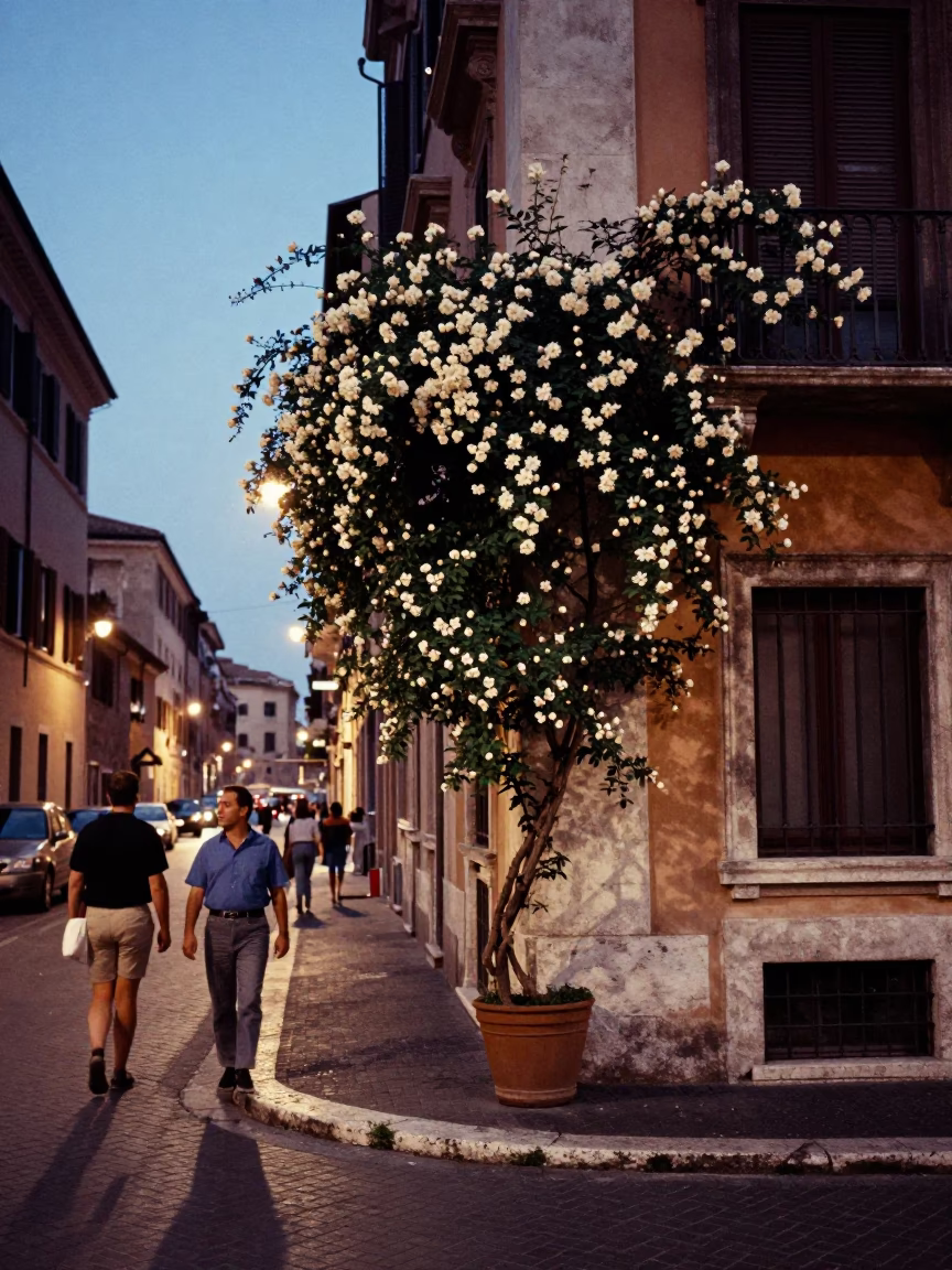 Evening Street Scene in Rome Italy with Jasmine Trellis and Local Interaction in in Rome, Italy