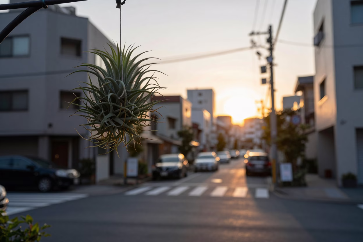 Evening Tokyo Street Scene with Hanging Air Plants and Urban Details in in Tokyo, Japan