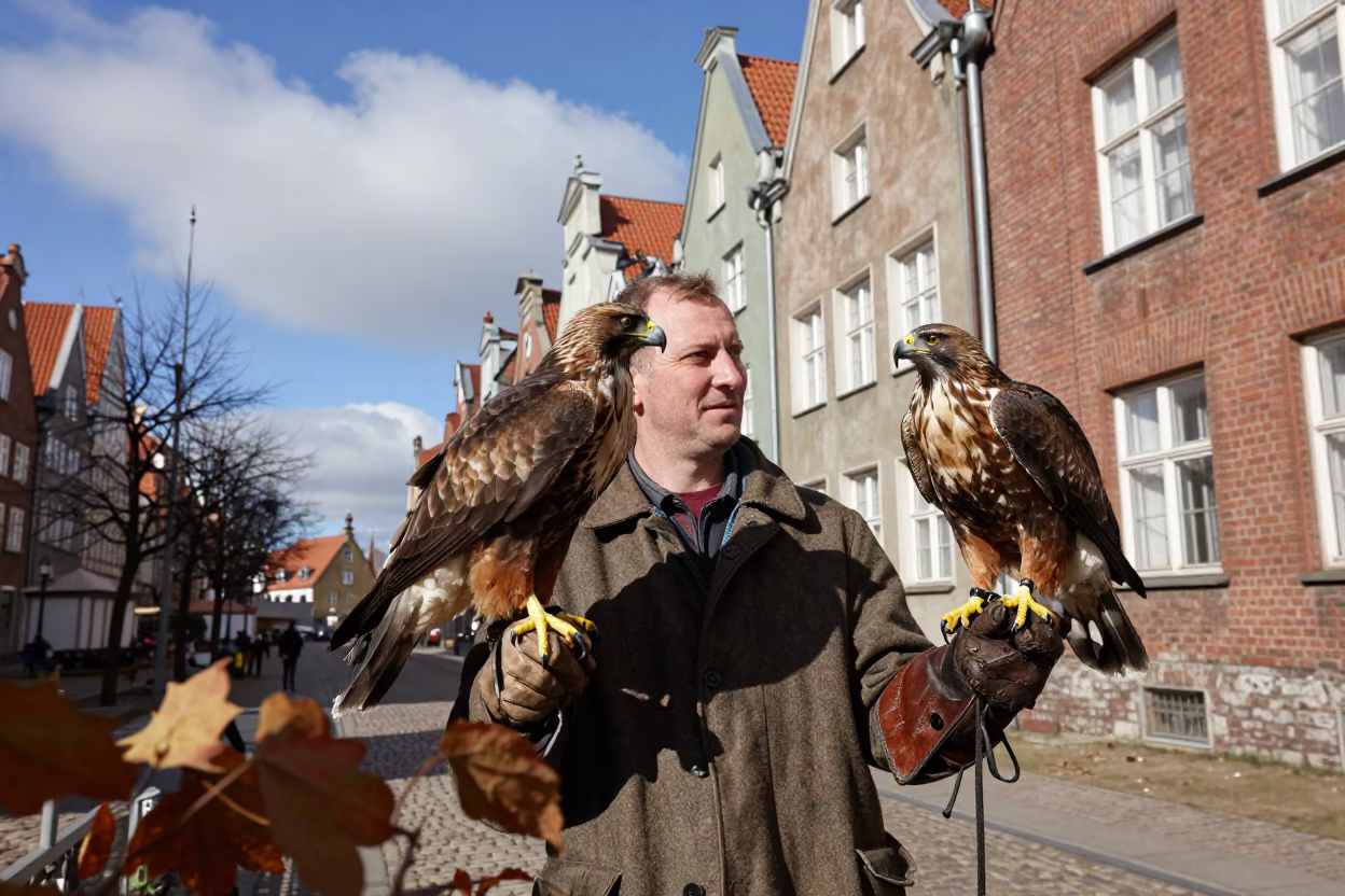 Falconer Portrait in Gdynia Old Quarter in in the old quarter in Gdynia
