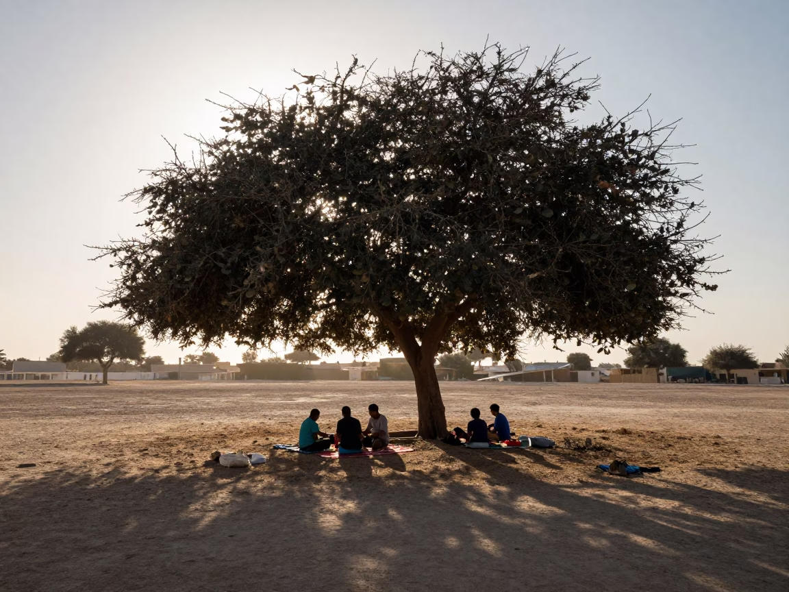 Family Picnic Under Oak Before Sunrise in near Abu Dhabi