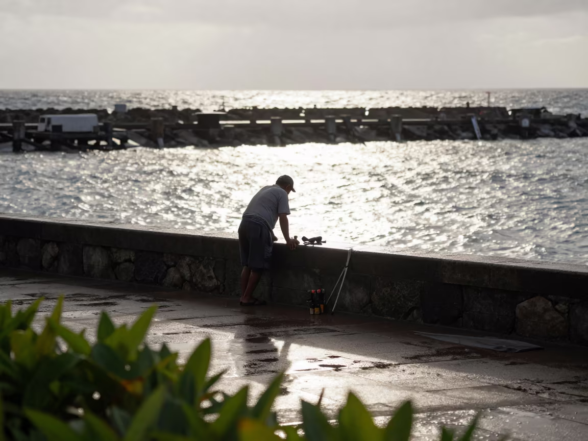 Farrier at Honolulu Harbor Wall After Rain in along a beach near Honolulu