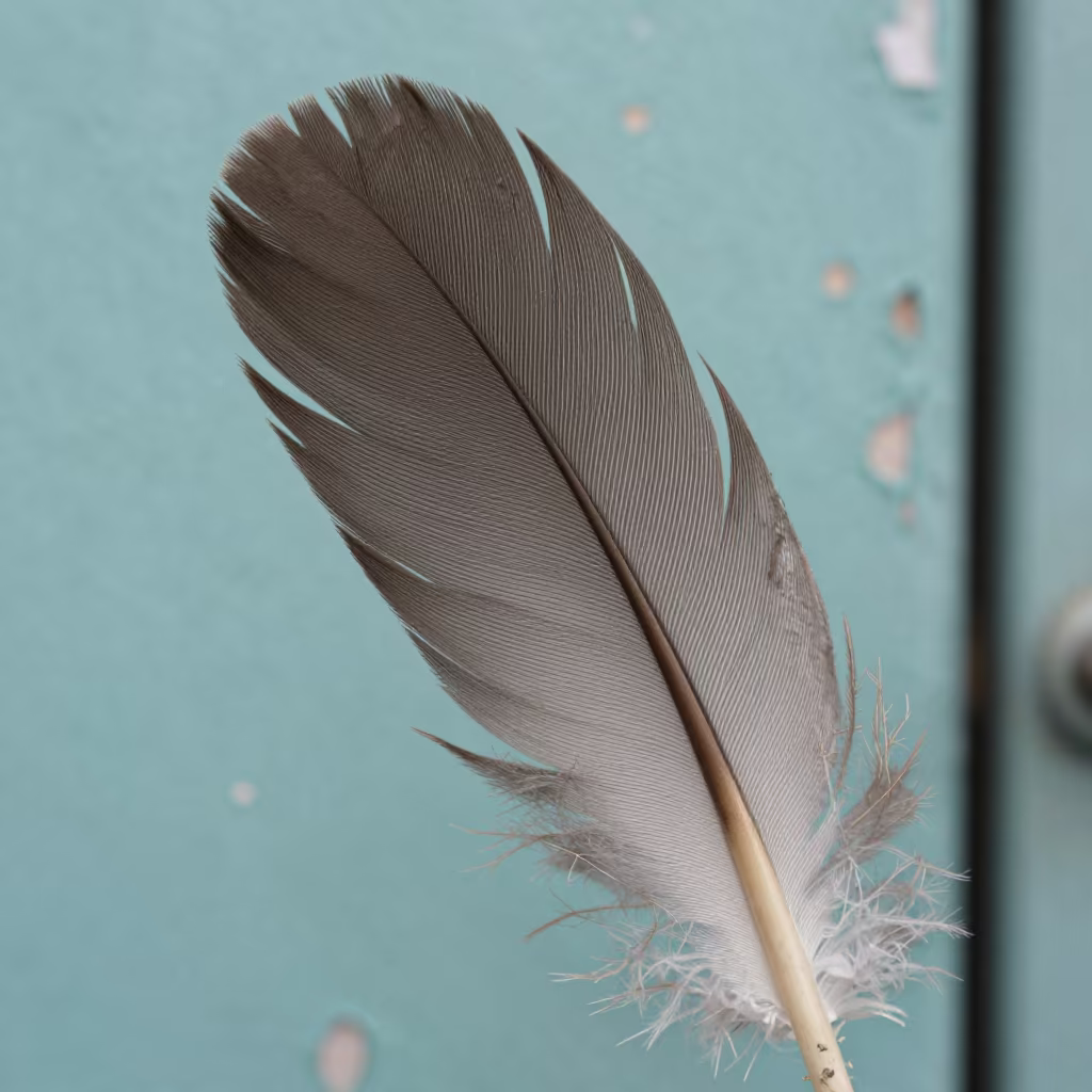 Feather Barbule Macro Detail Turquoise Wall San Juan in against weathered turquoise paint in San Juan