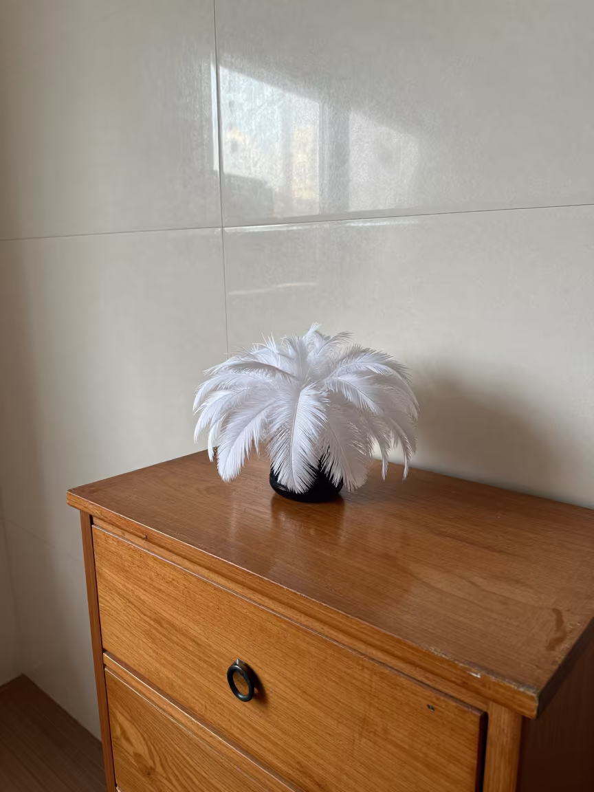 Feather Duster on Hotel Dresser in Kunming Monsoon Afternoon in on a hotel dresser near Kunming