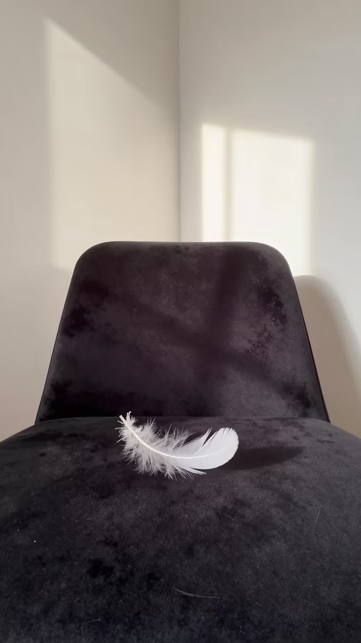 Feather Floating on Pond Near Ortahisar Chair in on a velvet chair near Ortahisar