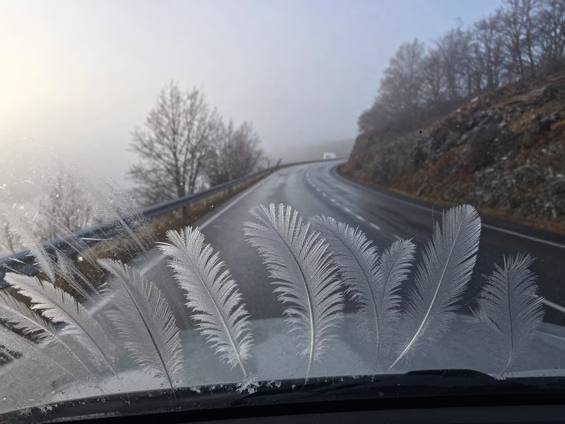 Feather Frost Patterns on Windshield in Winter Mist in along a switchback approach near Stavanger