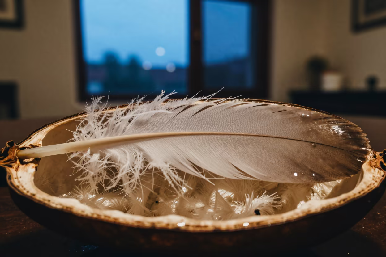 Feather Quill Cross Section in Seed Pod in inside a seed pod split open in Mira-Bhayandar