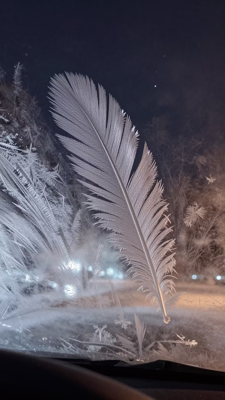 Feathered Frost Patterns on Car Windshield Before Dawn in near St Petersburg