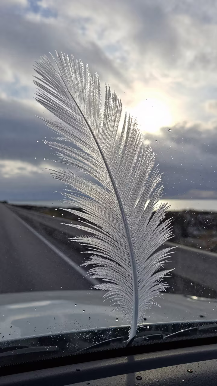 Feathered Frost Patterns on Car Windshield in Late Afternoon in on a wind-open causeway near Terni