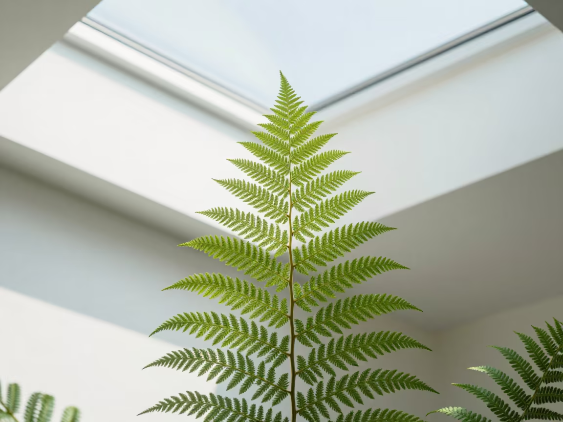 Fern Fractal Pattern in North Light Almere in inside a skylit passageway in Almere