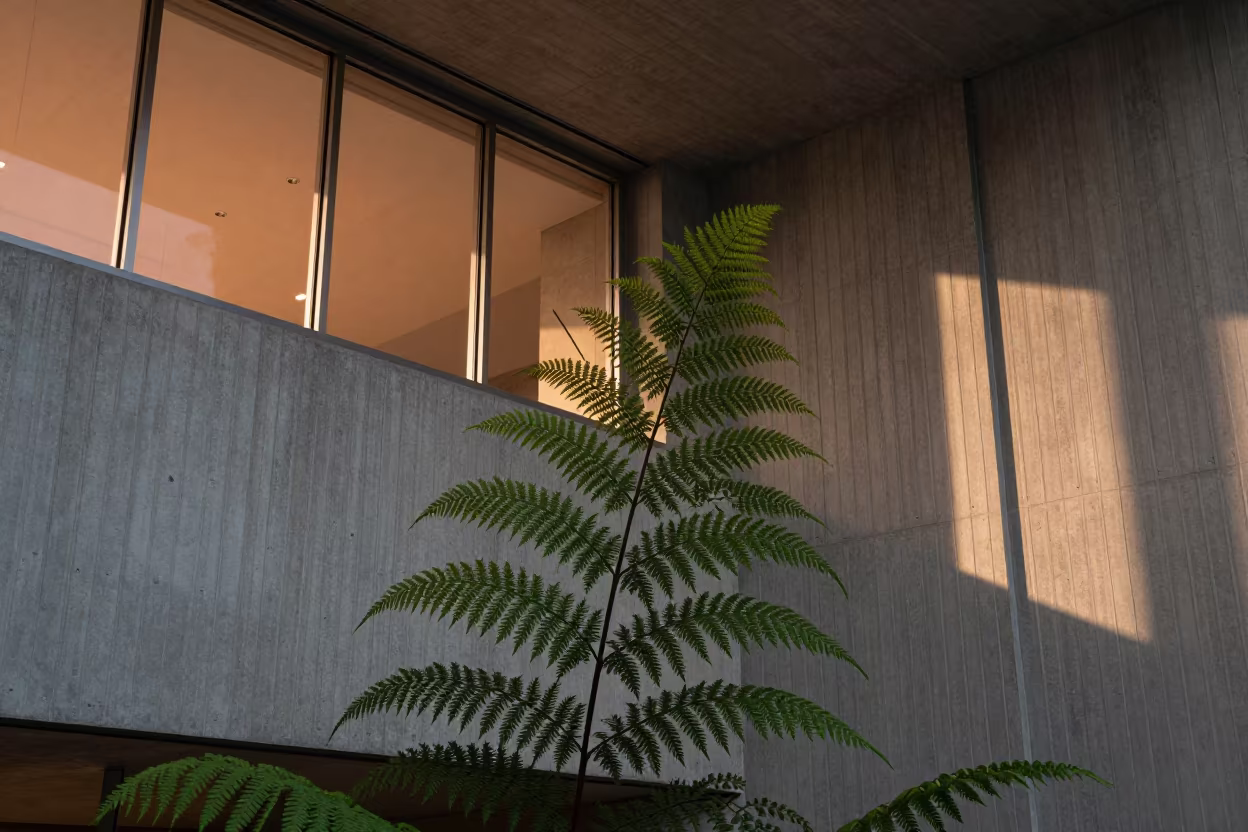 Fern Fractal in Yokohama Concrete Lobby Light in inside a ribbed concrete lobby in Yokohama