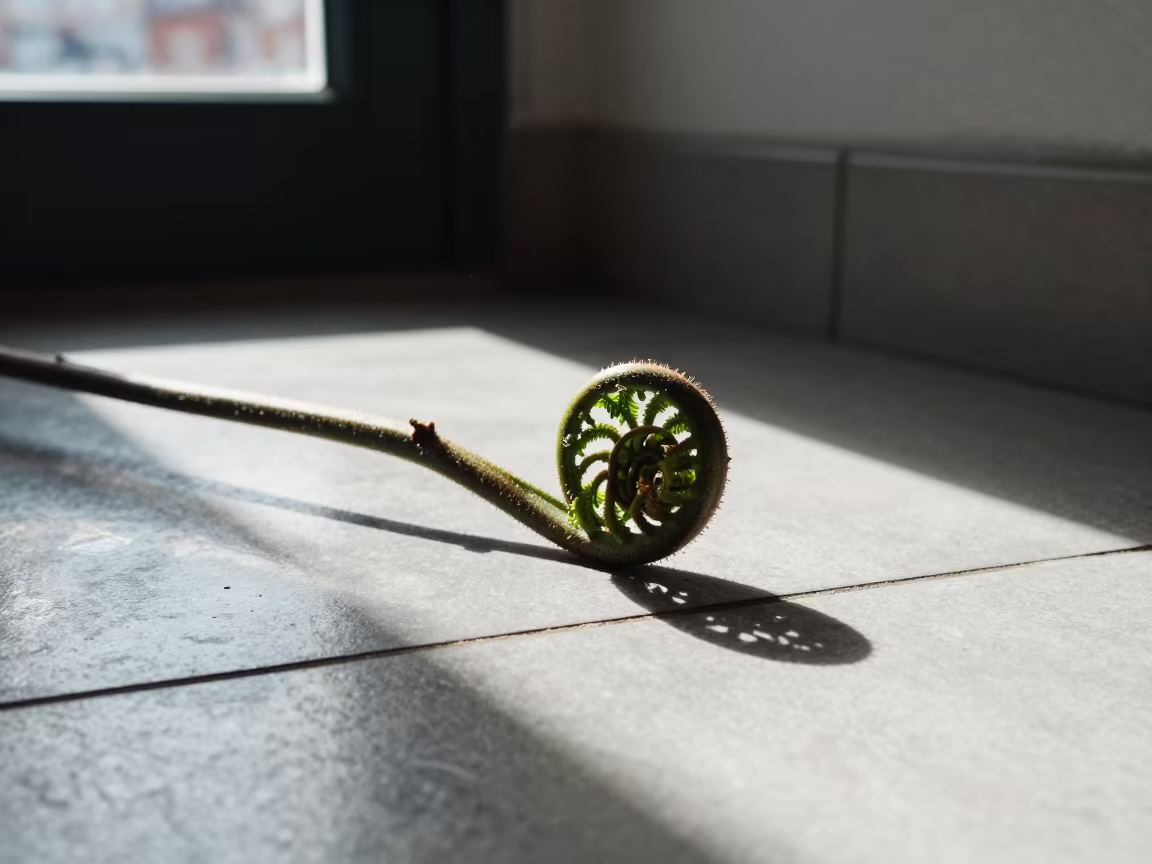 Fern Frond Spiral in Tiled Stair Hall in inside a tiled stair hall near Porto