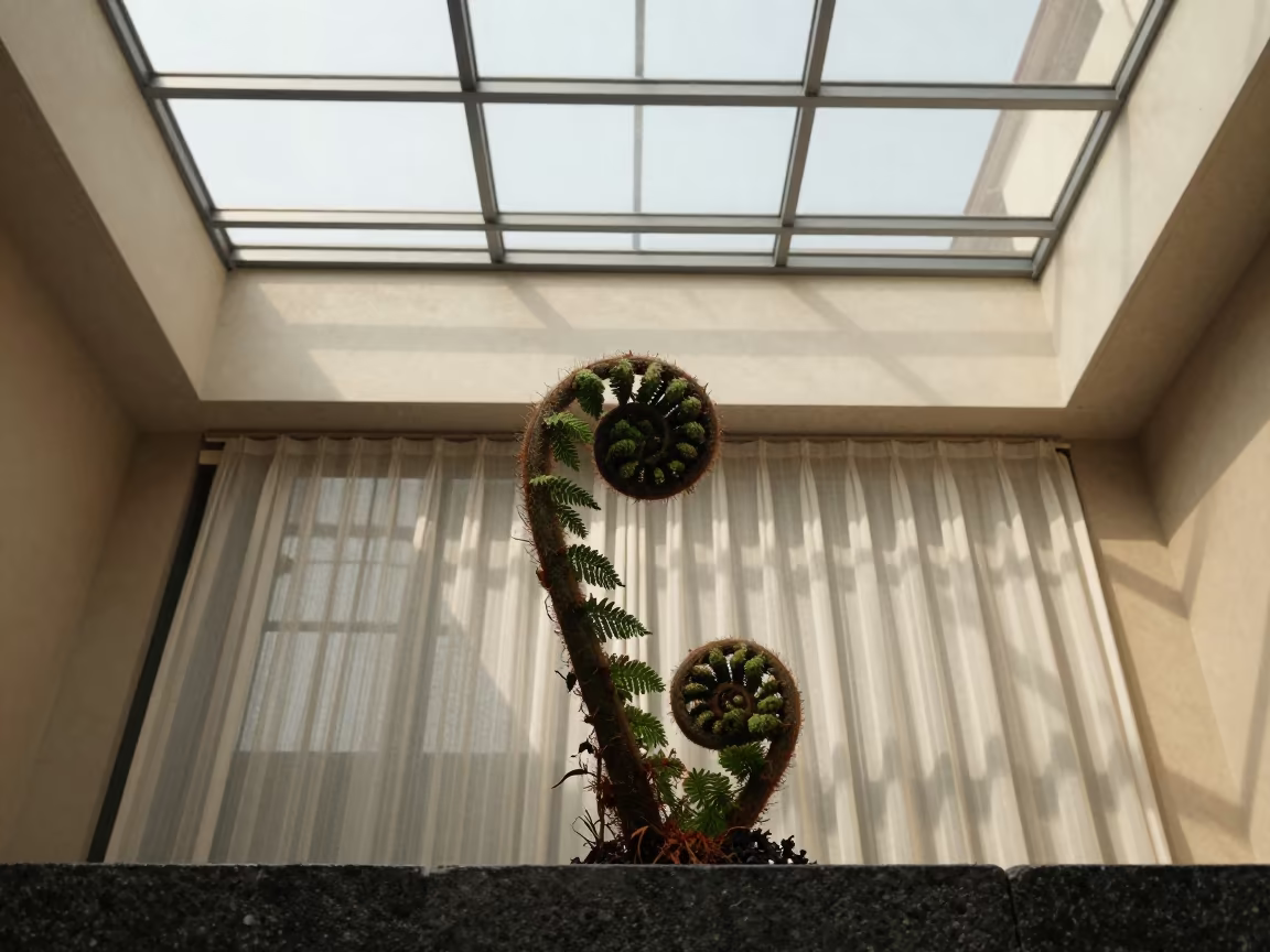 Fern Frond Spiral Uncoiling Under Noon Glass in inside a glass-roofed arcade in Larissa